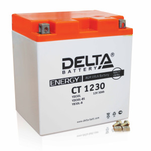 Аккумулятор Delta СТ 16Ач СТ1216