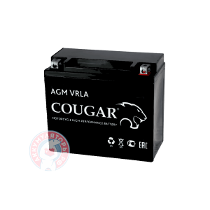 Аккумулятор Cougar 7 (YTX7L-BS)