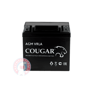 Аккумулятор Cougar 7 (YTX7L-BS)