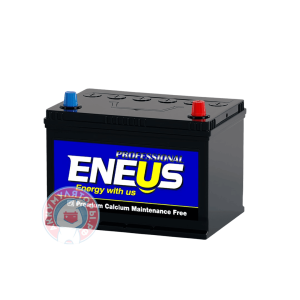Аккумулятор Eneus Professional 6 СТ 100Ач оп D31