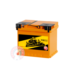 Аккумулятор Ginnes 6 CT 60Ач