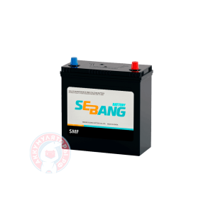 Аккумулятор Sebang 6 CT 42Ач B19 тонк.кл.